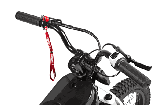 2019 KUBERG TRIAL 3000W KIDS ELECTRIC DIRT BIKE